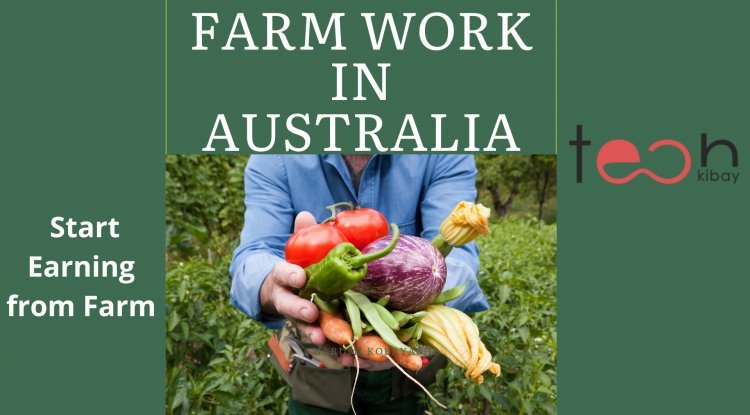 How To Find Opportunities And Start Earning From Farm Work In Australia 