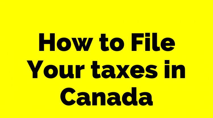 how-to-file-your-taxes-in-canada-a-beginners-guide-immigration