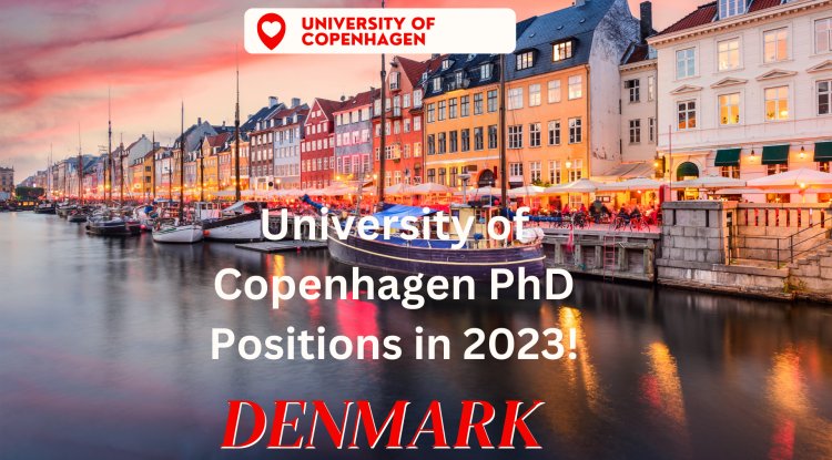 university of copenhagen phd requirements